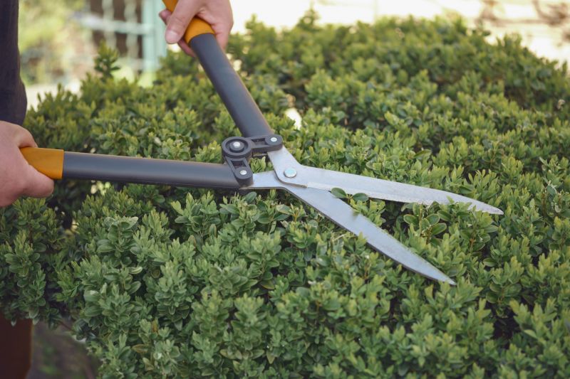 Close-up of Shrub Trimming Tools
